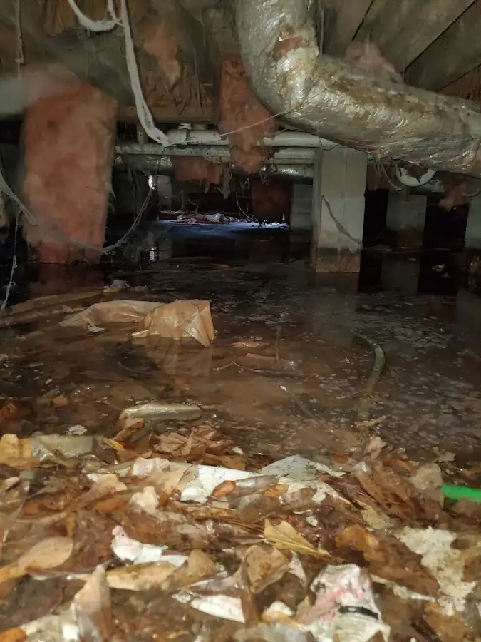 Crawl space flood assessment for Leak Detection & Repair in Cadillac